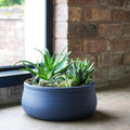 Kew Handthrown Bowl Planter in Azurite Grey - Sprouts of Bristol