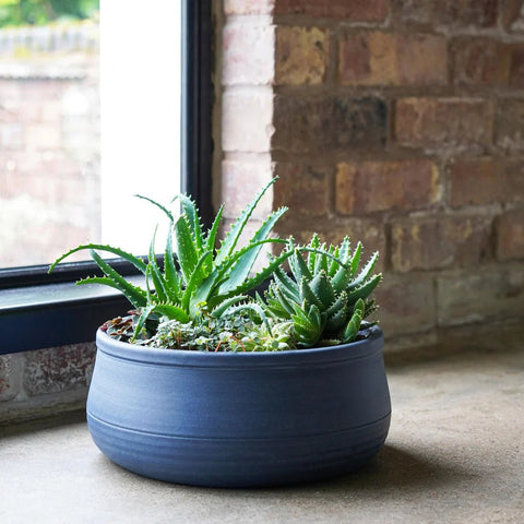Kew Handthrown Bowl Planter in Azurite Grey - Sprouts of Bristol