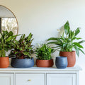 Kew Handthrown Bowl Planter in Burnt Umber Red - Sprouts of Bristol