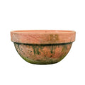 Levi Aged Terracotta Bowl Planter - Sprouts of Bristol