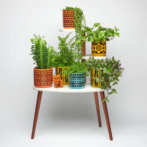 Magpie x Hornsea Medium Planty – Geo Chartreuse Plant Pot - Sprouts of Bristol