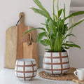 Moda Wax Relief Planter - Sprouts of Bristol