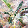Musa 'Florida Variegata' - Variegated Banana Plant - Sprouts of Bristol