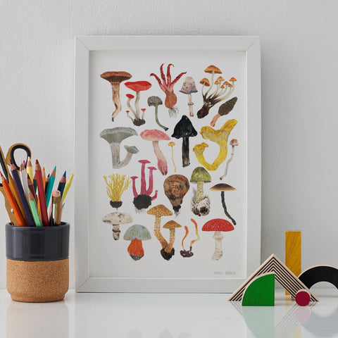 Mushrooms and Toadstools Art Print - Sprouts of Bristol