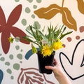 Narcissus ‘Rip Van Winkle’ - Potted Daffodils - Sprouts of Bristol