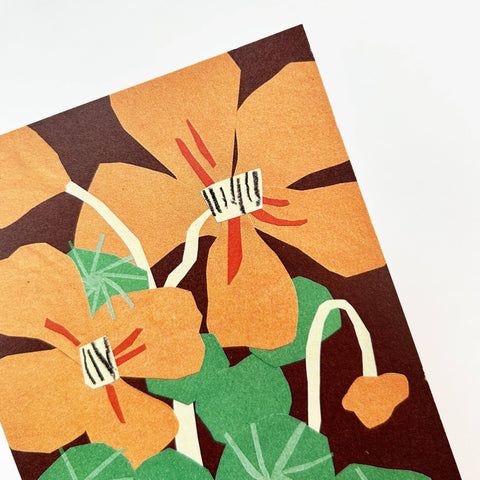 Nasturtiums Greetings Card - Sprouts of Bristol