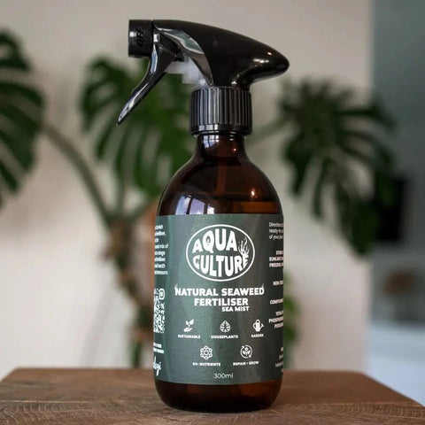 Organic Seaweed Foliar Spray 300ml - Natural Plant Food - Sprouts of Bristol