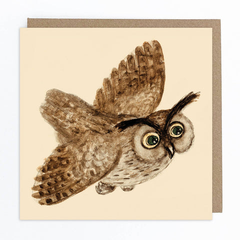 Owl Greetings Card - Sprouts of Bristol