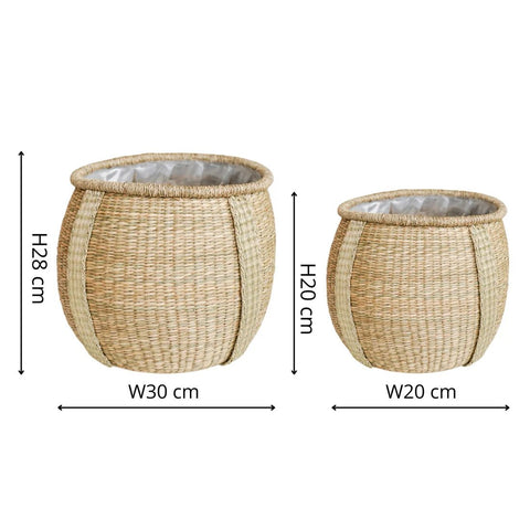 Pando Seagrass Basket Planter - Sprouts of Bristol