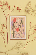 Peach Pink Dried Poppy Flower Greetings Card - Sprouts of Bristol
