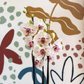 Phalaenopsis 'Bohemian Goya' - Pink and White Moth Orchid - Sprouts of Bristol