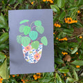 Pilea Greetings Card - Sprouts of Bristol