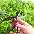 Plant Pruning Scissors - Sprouts of Bristol