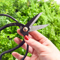 Plant Pruning Scissors - Sprouts of Bristol