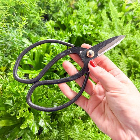 Plant Pruning Scissors - Sprouts of Bristol