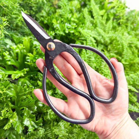 Plant Pruning Scissors - Sprouts of Bristol