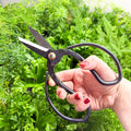 Plant Pruning Scissors - Sprouts of Bristol