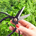 Plant Pruning Scissors - Sprouts of Bristol