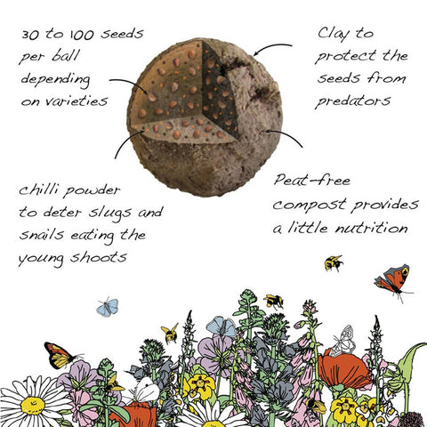Poppy Wildflower Seedball Tubes - Sprouts of Bristol