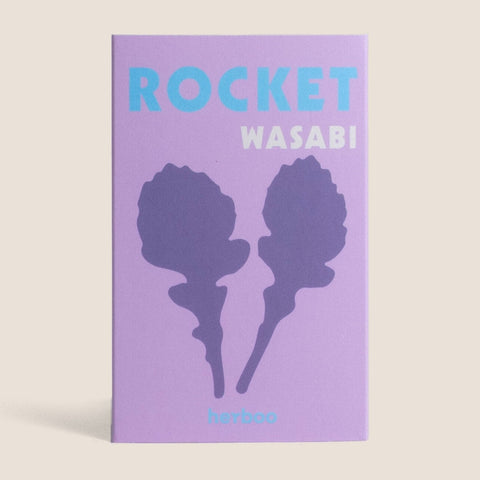 Rocket Wild Wasabi Seeds - Sprouts of Bristol