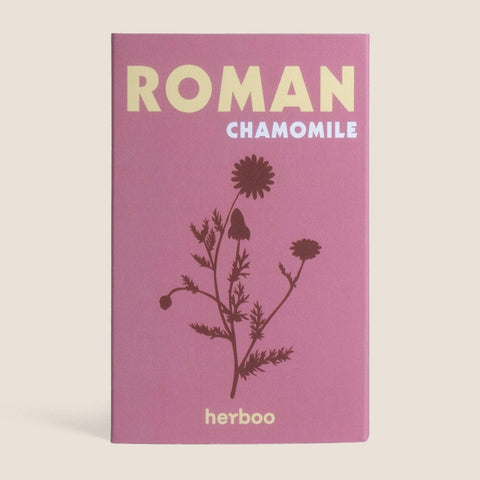 Roman Chamomile Seeds - Sprouts of Bristol