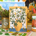 Santorini | Everyday greetings card | Mediterranean, floral - Sprouts of Bristol