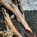 Sea Moss & Driftwood Fragranced Coloured Pillar - Sprouts of Bristol