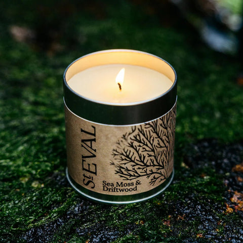 Sea Moss & Driftwood Scented Tin Candle - Sprouts of Bristol