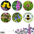 Seedball Meadow Pots - Bee Mix - Sprouts of Bristol