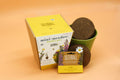 Seedball Meadow Pots - Bee Mix - Sprouts of Bristol