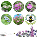 Seedball Meadow Pots - Butterfly Mix - Sprouts of Bristol