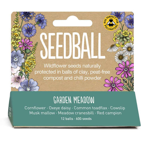 Seedball Meadow Pots - Garden Meadow - Sprouts of Bristol