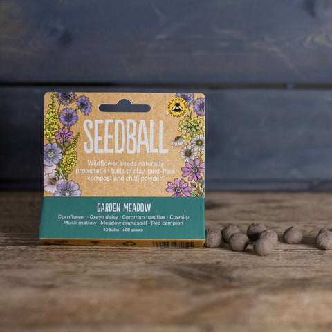 Seedball Meadow Pots - Garden Meadow - Sprouts of Bristol
