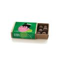 Short - Haired Bumblebee Seedball Box - Sprouts of Bristol