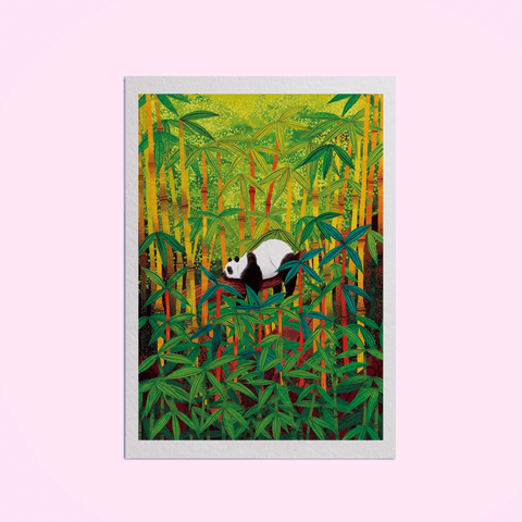 Siguniang Panda Giclee Art Print - Sprouts of Bristol