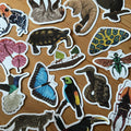 Snake Wildlife Vinyl Sticker [Beneath the Canopy RHS Collab] - Sprouts of Bristol