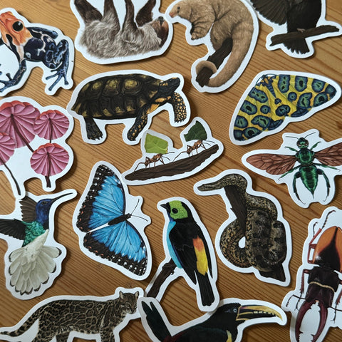 Snake Wildlife Vinyl Sticker [Beneath the Canopy RHS Collab] - Sprouts of Bristol