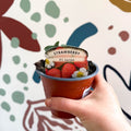 Strawberry - Fragaria x ananassa 'Loran' F1 - British Grown - Sprouts of Bristol