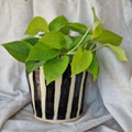 Stripe - Black and White Handmade Ceramic Plant Pot - Sprouts of Bristol