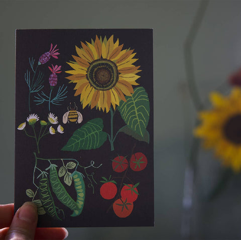 Sunflower Plot Greetings Card - Sprouts of Bristol