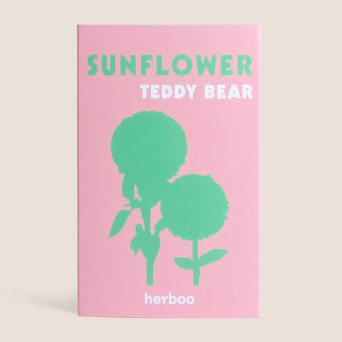 Sunflower 'Teddy Bear' Seeds - Sprouts of Bristol