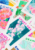 Sweet Pea Flower Risograph Print - Sprouts of Bristol