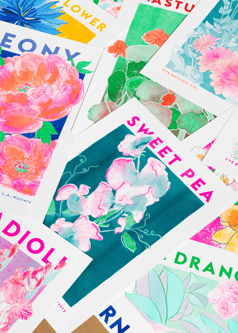 Sweet Pea Flower Risograph Print - Sprouts of Bristol