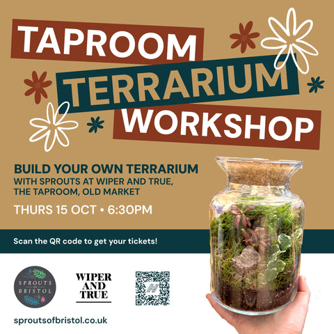 Taproom Terrarium Workshop