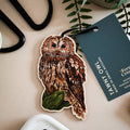 Tawny Owl Wooden Decoration - Sprouts of Bristol