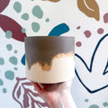 The Linnaeus’s Two - Toed Sloth Jesmonite Pot [Beneath the Canopy RHS Collab] - Sprouts of Bristol