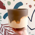 The Linnaeus’s Two - Toed Sloth Jesmonite Pot [Beneath the Canopy RHS Collab] - Sprouts of Bristol
