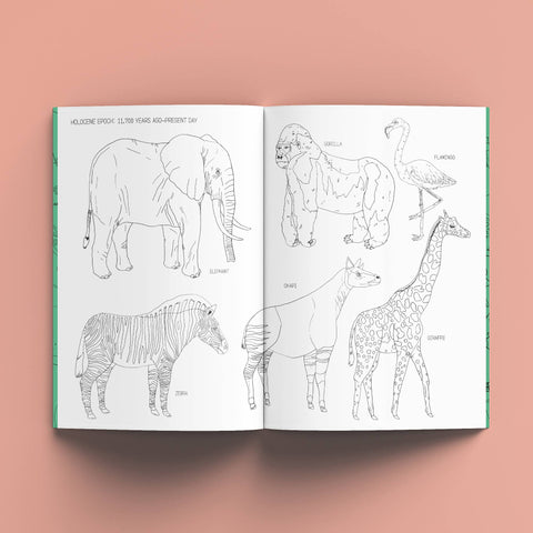 The Nature History Colouring Book - Sprouts of Bristol