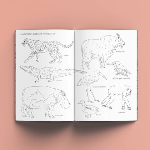 The Nature History Colouring Book - Sprouts of Bristol