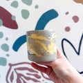The Yellow - Footed Tortoise Jesmonite Mini Pot [Beneath the Canopy RHS Collab] - Sprouts of Bristol